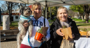 Este viernes 11 el canje de reciclables llega al Mercado del Patio