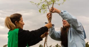 El Municipio impulsa una nutrida agenda por el Día internacional contra el cambio climático