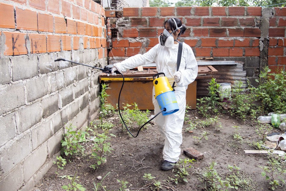 Dengue: Rosario reporta el primer fallecimiento y se intensifican los operativos de control