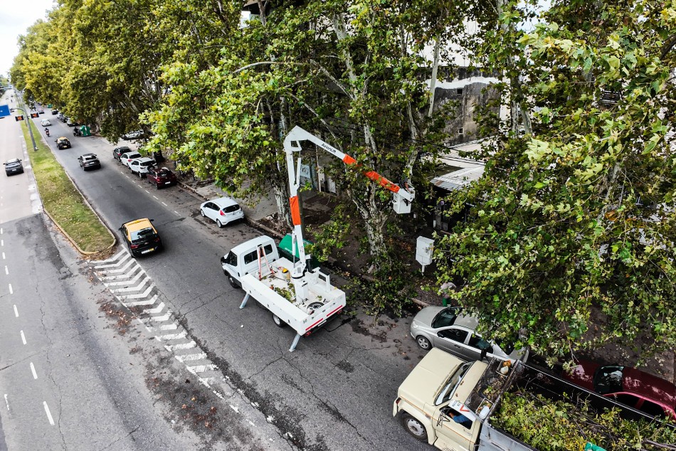 Operativo Barrial en La Florida sumó mejoras integrales para el corredor norte